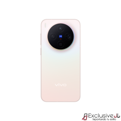 VIVO X300